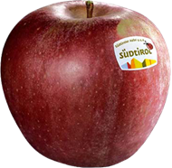 Winesap Apfel