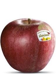 Foto der Apfelsorte Stayman Winesap