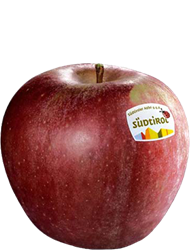 Winesap Apfel