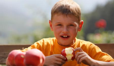 Südtiroler Apfel