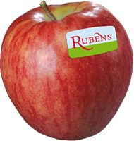 Rubens Apfel