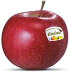 Foto der Apfelsorte Morgenduft