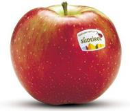 Foto de la variedad de manzana Idared