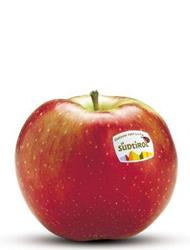 Foto de la variedad de manzana Idared