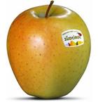 Foto der Apfelsorte Golden Delicious