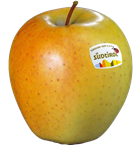 Golden Delicious Apfel