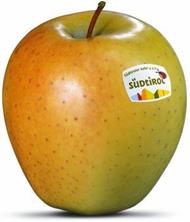 Foto der Apfelsorte Golden Delicious
