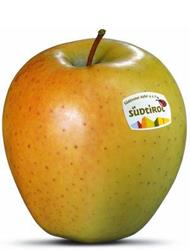 Foto der Apfelsorte Golden Delicious