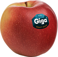 Foto de la variedad de manzana Giga