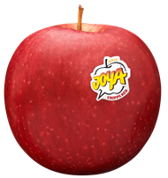 Foto de la variedad de manzana Joya