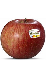 Foto de la variedad de manzana Fuji