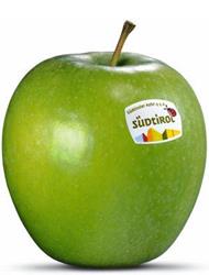 Foto der Apfelsorte Granny Smith