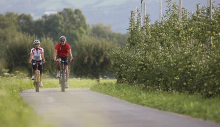Zwei Radfahrer fahren an den Apfelplantagen vorbei