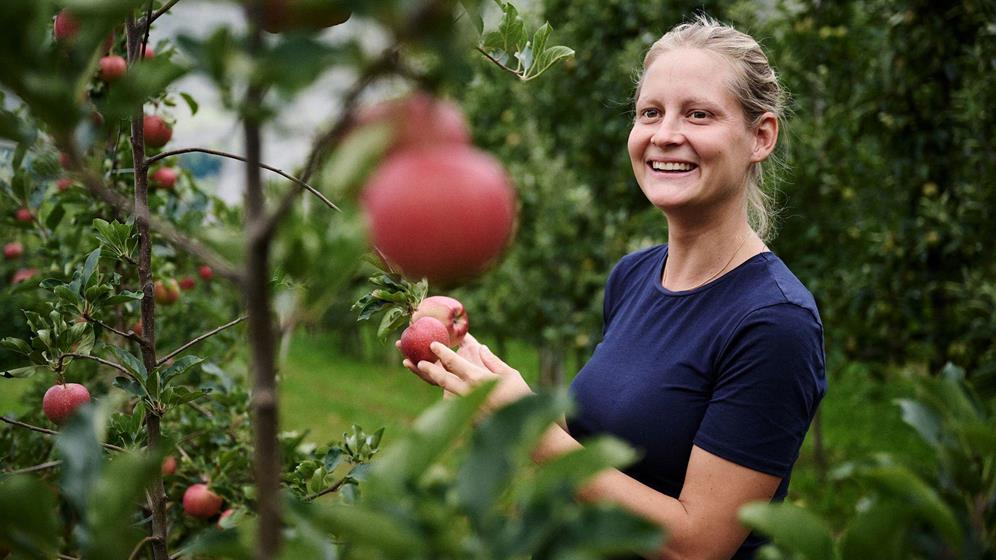 Apfelbäuerin hält zwei frische Äpfel in der Hand in der Apfelwiese