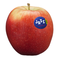 Apfelsorte Jazz