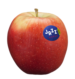 Apfelsorte Jazz
