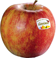 Jonagold Apfel