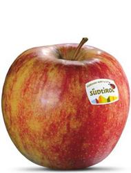 Foto de la variedad de manzana Jonagold
