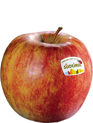 Jonagold Apfel