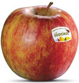 Foto de la variedad de manzana Jonagold