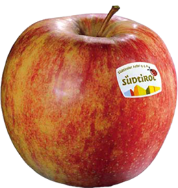 Jonagold Apfel