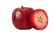 Foto de la variedad de manzana Kissabel