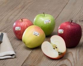 South Tyrolean Apple