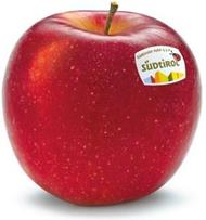 Foto de la variedad de manzana Bonita