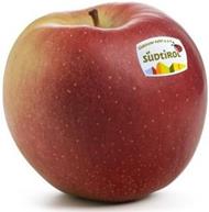 Foto de la variedad de manzana Ipador