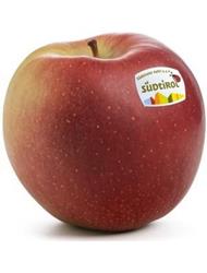 Foto de la variedad de manzana Ipador