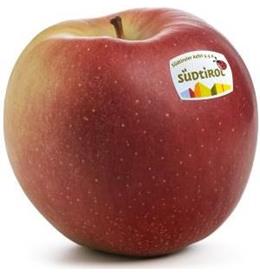 Foto de la variedad de manzana Ipador